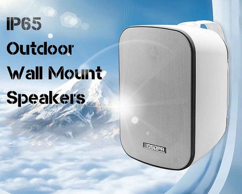 DSPPA DSP5040W 40W IP65 Waterproof Outdoor Wall Mount Speaker IP65