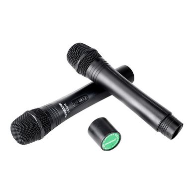 Takstar TS-6310 2-Channel Wireless Microphone