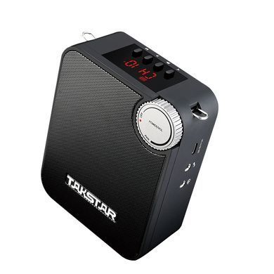 Takstar E500W &mdash; 20 W wireless portable voice amplifier with UHF microphone &mdash; Single Handheld Version.