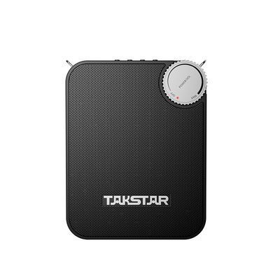 Takstar E500W &mdash; 20 W wireless portable voice amplifier with UHF microphone &mdash; Dual Handheld Version.