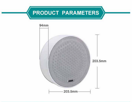 DSPPA DSP5311 6.5 Inch Surface Mount Ceiling Speaker