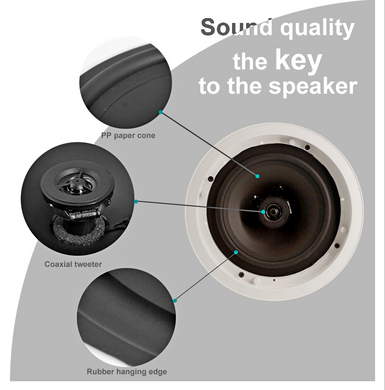 DSPPA DSP5012 Коаксіальний безрамний стельовий динамік потужністю 35Вт/100В