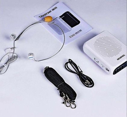 TAKSTAR E300 Portable Wired Amplifier