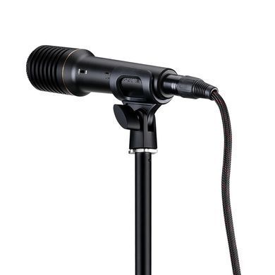 Takstar PCM-5600 (GEN 2) &mdash; ручний студійний конденсаторний мікрофон.